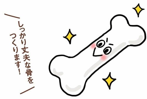 骨や歯を健康に保つ! 鮭フレークおすすめ イメージ