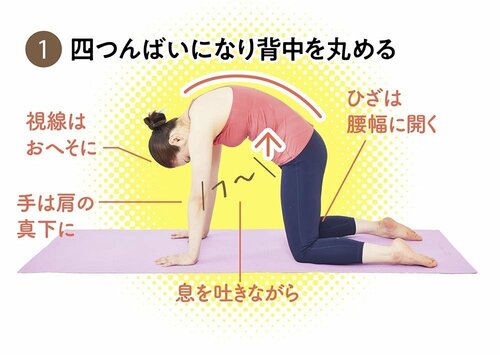 STEP1:四つんばいになり背中を丸める ガードルおすすめ イメージ