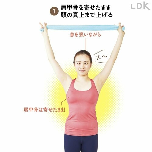 1:肩甲骨を寄せたまま頭の真上まで上げる 初心者向けストレッチ用ポールおすすめ イメージ