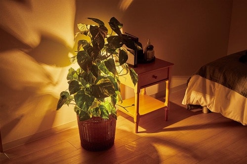 IKEA「TRÅDFRI LED電球」 イメージ4