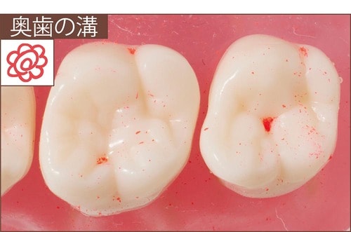 汚れ落ち：評価A＋ イメージ5
