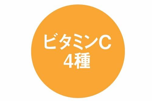 美肌に近づけるビタミンCが豊富 イメージ