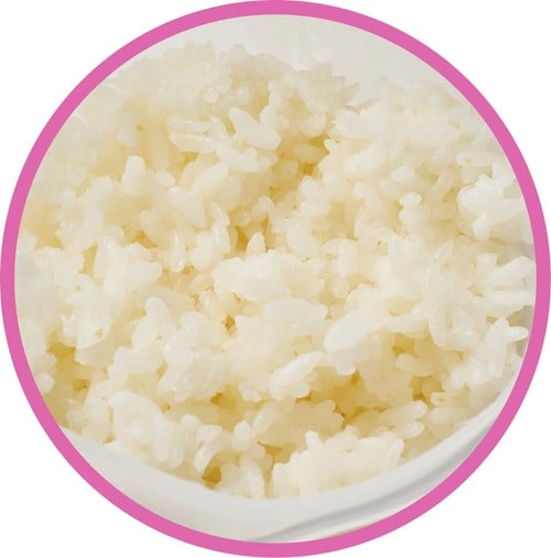 表面がやや乾燥 ご飯冷凍容器おすすめ イメージ