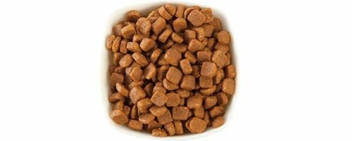 4位: 【66点】毛なみや皮膚をケア不安材料の人口防腐剤で大減点 イメージ2