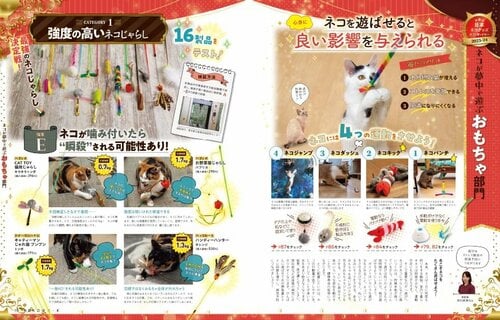 体のいろいろな部位を動かすことでネコの健康をサポート 猫用おもちゃおすすめ イメージ