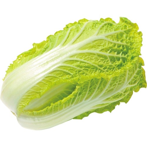 保存期間:約1カ月 野菜の冷凍保存方法おすすめ イメージ