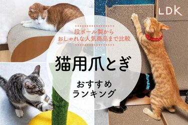 2024年】猫用爪とぎのおすすめランキング19選。LDKがダンボール製から