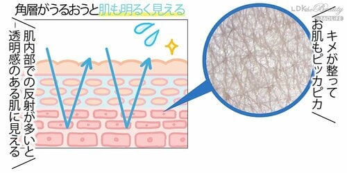 メイク前の保湿で透明感をゲット 保湿化粧水おすすめ イメージ