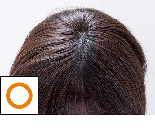 【仕上がり】 増毛パウダーおすすめ イメージ