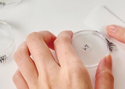 テスト2：にじみにくさ 落ちないマスカラおすすめ イメージ