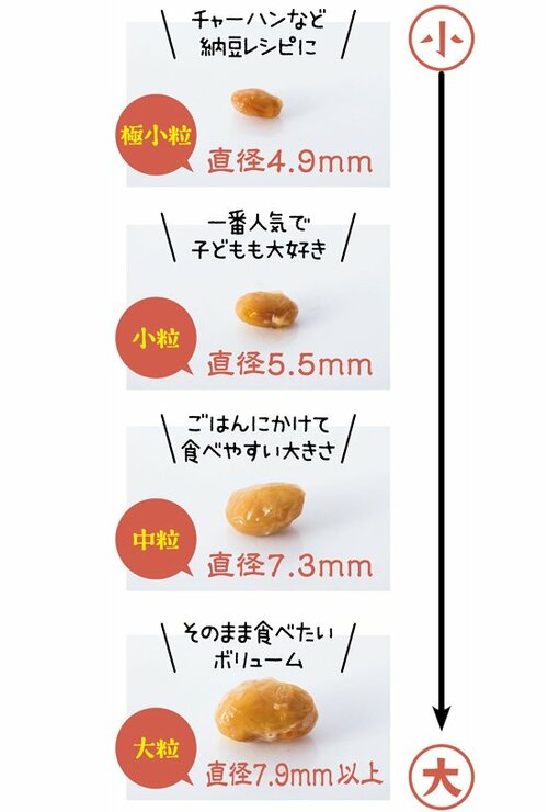 極小粒・小粒・中粒・大粒とは大豆の大きさで決まります