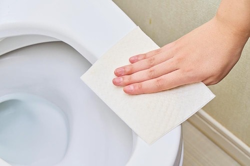 厚手で拭きやすく洗剤もたっぷりIN 流せるトイレクリーナーおすすめ イメージ