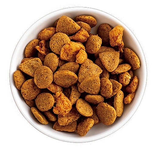 グレインフリーキャットフードおすすめ ネスレ日本 ピュリナ ワン グレインフリー 1歳からすべての年齢にチキン イメージ2