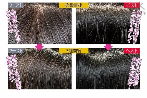【再テスト】半頭ずつベストとワーストでガチ検証 LDKベストバイ白髪染めおすすめ イメージ2