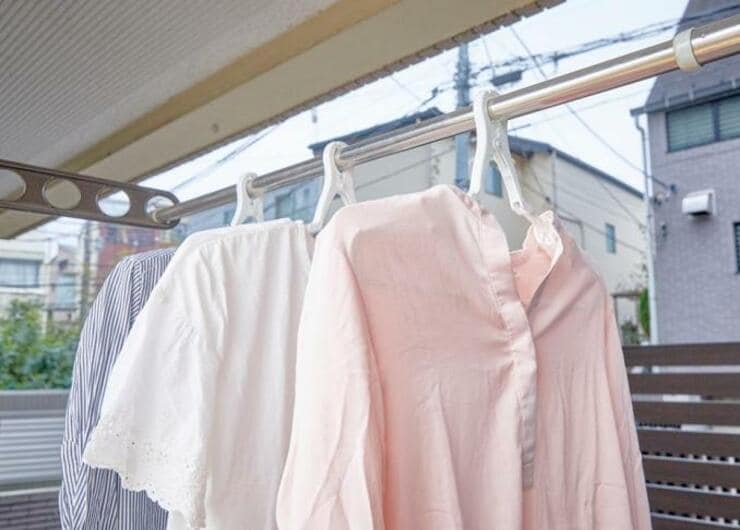 【カインズ】洗濯物干しの「困った」を解決！ 新作アイデアハンガー4選｜『LDK』が紹介