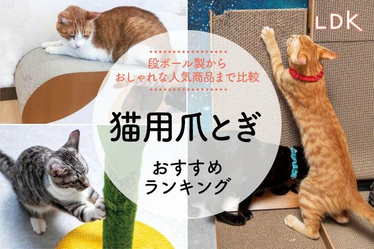 猫用爪とぎのおすすめランキング19選。LDKがダンボール製からかわいいものまで人気商品を比較