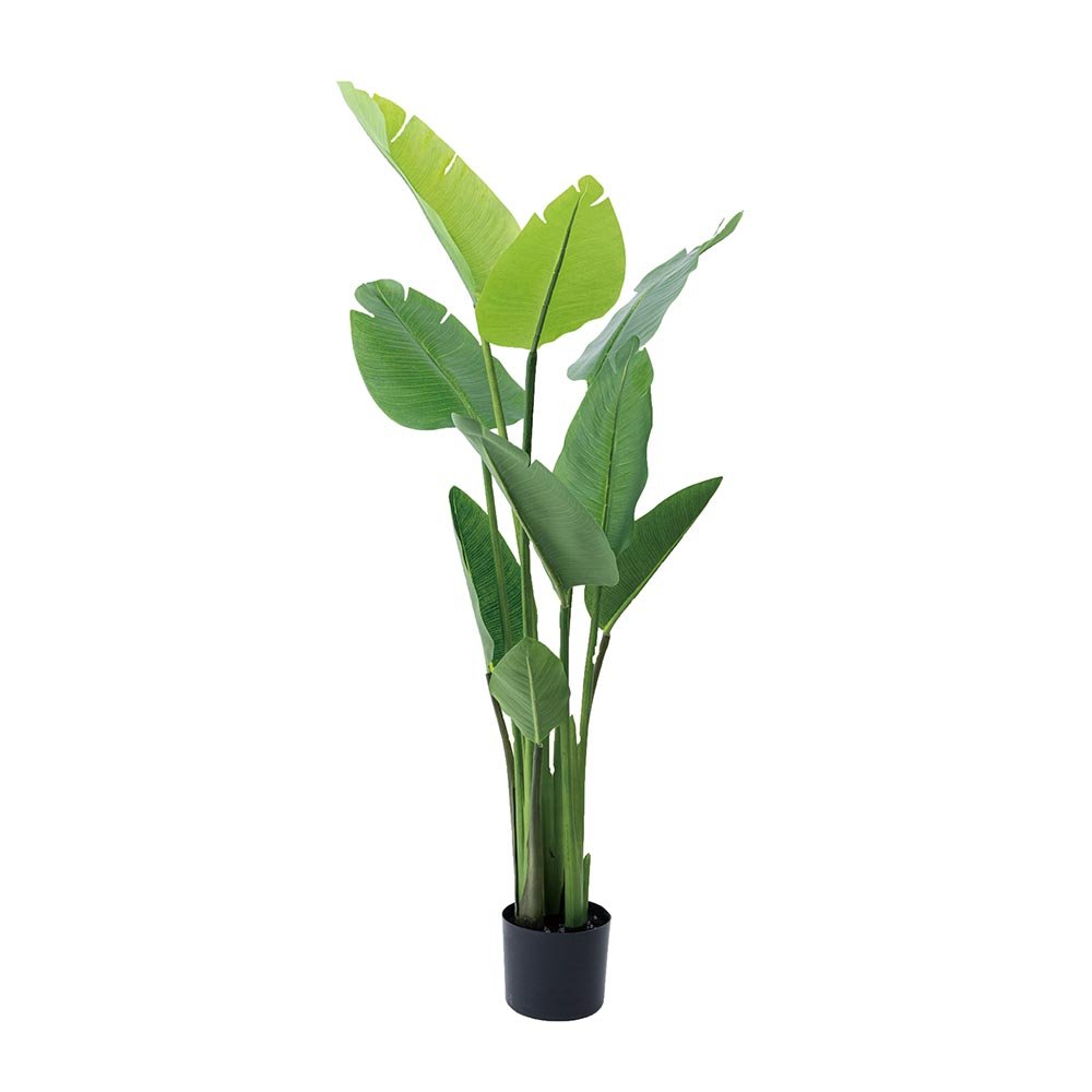 22年 フェイクグリーンのおすすめランキング5選 Ldk が徹底比較 360life サンロクマル