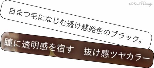 最近の「黒」は透け・ツヤ質感も登場 マスカラおすすめ イメージ