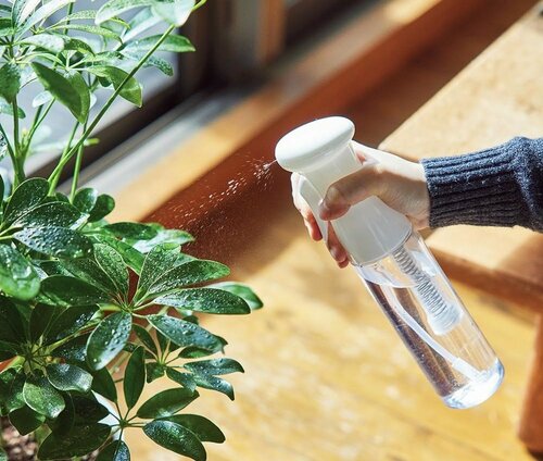観葉植物を枯らさない正しい水やりって? ガーデニング用霧吹きおすすめ イメージ