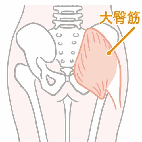 →お尻の筋肉をほぐしましょう ズボラストレッチおすすめ イメージ