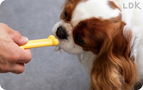 テスト1:食いつき 犬用おもちゃおすすめ イメージ