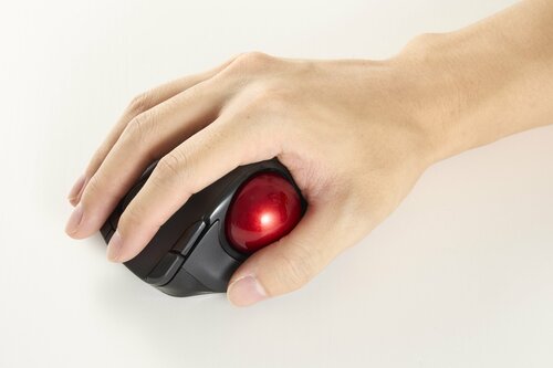 手の大きさによって使いやすさが異なる トラックボールマウスおすすめ イメージ
