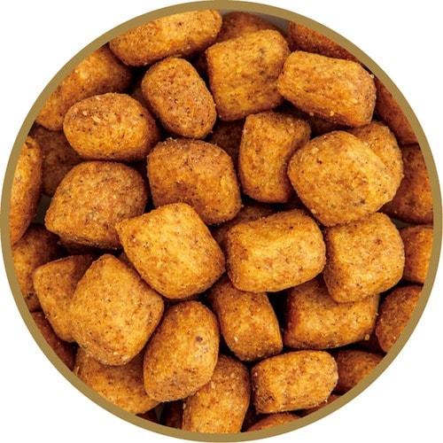 猫用ドライフードおすすめ 日本ヒルズ・コルゲート サイエンス・ダイエット ベット・エッセンシャルマルチケア+デンタル 成猫 1歳以上 チキン イメージ2