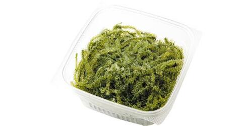 カークランドシグネチャー:海ぶどう:食品