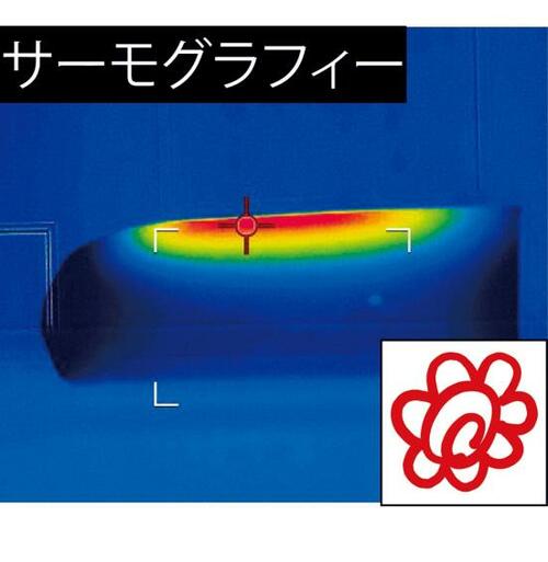 参考テスト:熱伝導 美顔器おすすめ イメージ