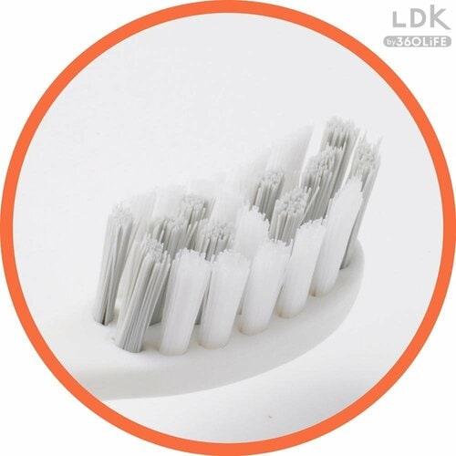 高密度でやわらかいブラシ LDKベストバイ大人用電動歯ブラシおすすめ イメージ