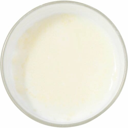 大人向け粉ミルクおすすめ matsukiyo LAB 免疫ケアプラズマ乳酸菌大人用粉ミルク イメージ3