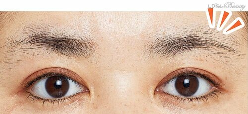 Q.左右非対称で描くのが難しい 眉のお手入れ方法&描き方のコツおすすめ イメージ