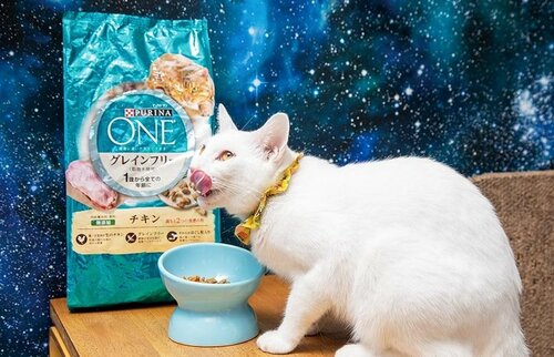 ネコがおいしく食べられる 猫用ドライフードおすすめ イメージ2