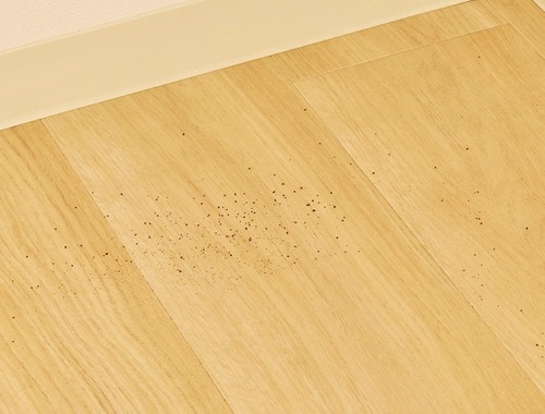 フローリング：吸引率94.5％ ロボット掃除機おすすめ イメージ