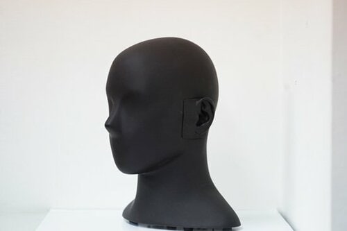 ダミーヘッドを使った本格テストでイヤホンの「音」を徹底解剖！ イメージ2
