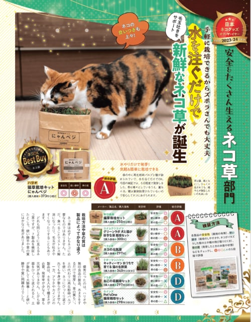 猫草とは? 猫草おすすめ イメージ