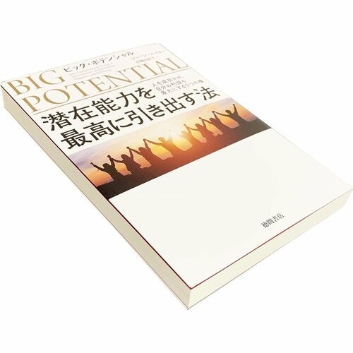 ビジネス書おすすめ 徳間書店 ショーン・エイカー ビッグ・ポテンシャル 潜在能力を最高に引き出す法  イメージ1