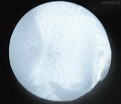 【切れ味】切り口がとても滑らか プラモデル用ニッパーおすすめ イメージ