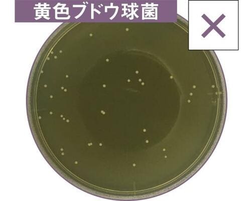 D評価: 食中毒予防効果に不安…D評価の3製品 イメージ