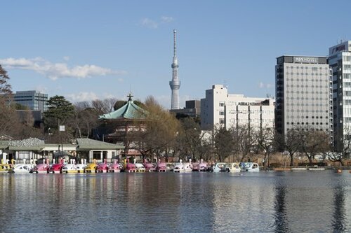 風景撮影で遠景の解像力をチェック!