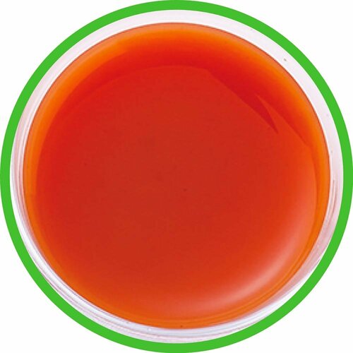 野菜ジュースおすすめ 伊藤園 1日分の野菜 PET イメージ2