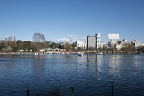 風景撮影で遠景の解像力をチェック!