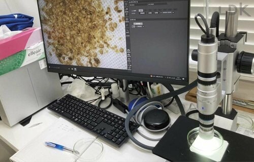 スプレーを染み込ませた布にダニの餌を置いて観察 無印良品の防ダニスプレーおすすめ イメージ