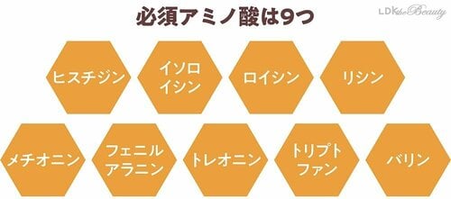 いろんな食材からたんぱく質を摂るのが良い イメージ