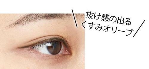 ベストのワケ:ツヤオフカラーで目元によくなじむ イメージ
