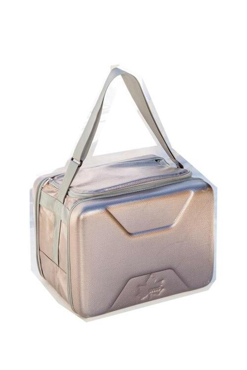 少人数の日帰りキャンプに最適なソフトクーラー「ロゴス」 イメージ