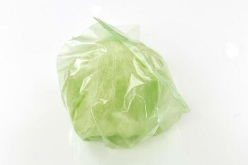 野菜の保存術5:レタス・キャベツ