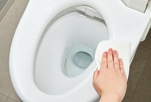 流せるトイレクリーナーを実際に使って便座を掃除している画像