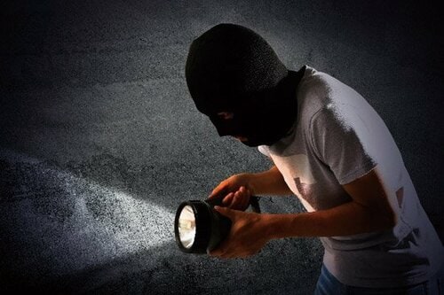 防犯対策はもちろん ペットの見守りにも◎ イメージ