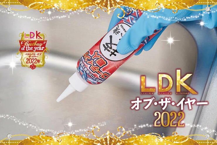 コーティング剤なら「技 職人魂コーティング職人」。シンク・鏡のキレイをキープ【LDKベストバイ2022】